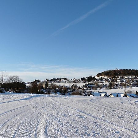 Landfein Big Country House Winterberg Exteriör bild
