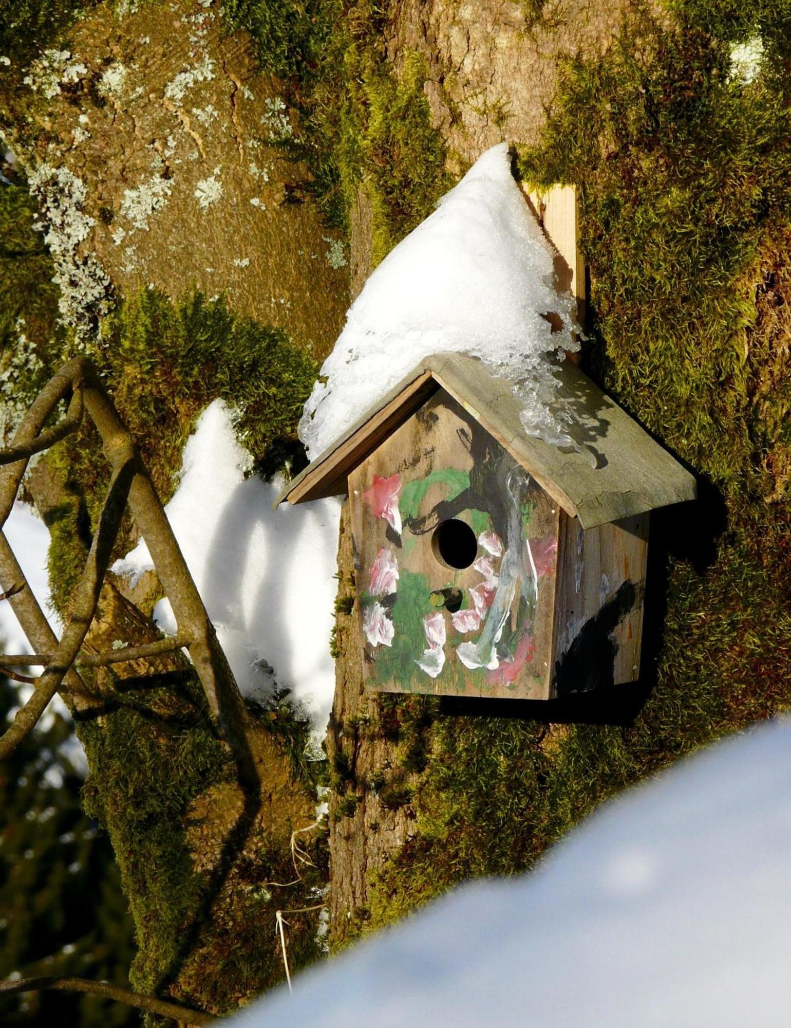 Landfein Big Country House Winterberg Exteriör bild